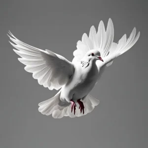 dove symbolism death