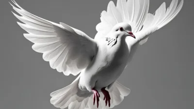 dove symbolism death