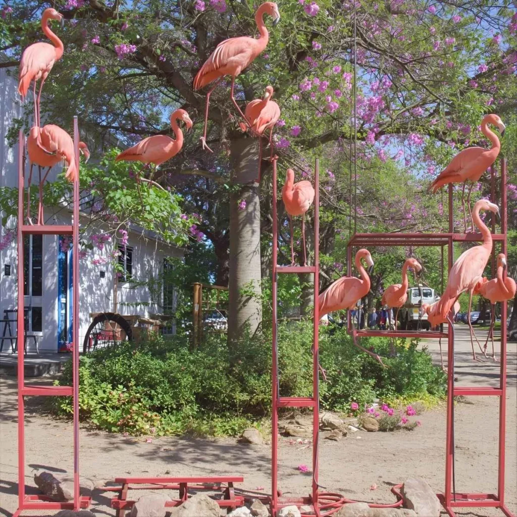Flamingo Symbolism and the Swinging Lifestyle