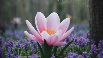 Spiritual Meaning of Seeing a Spring