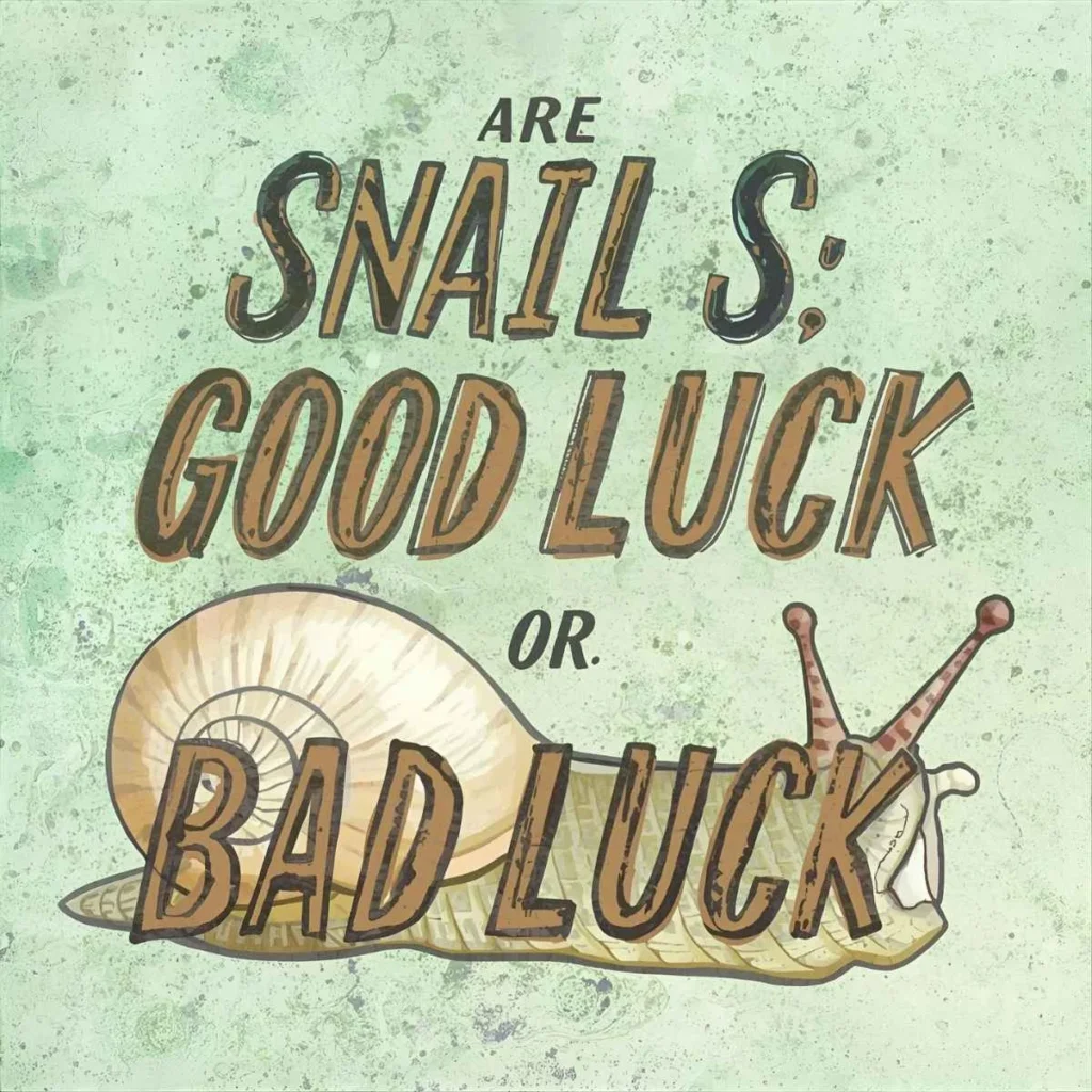 Are Snails Good Luck or Bad Luck?