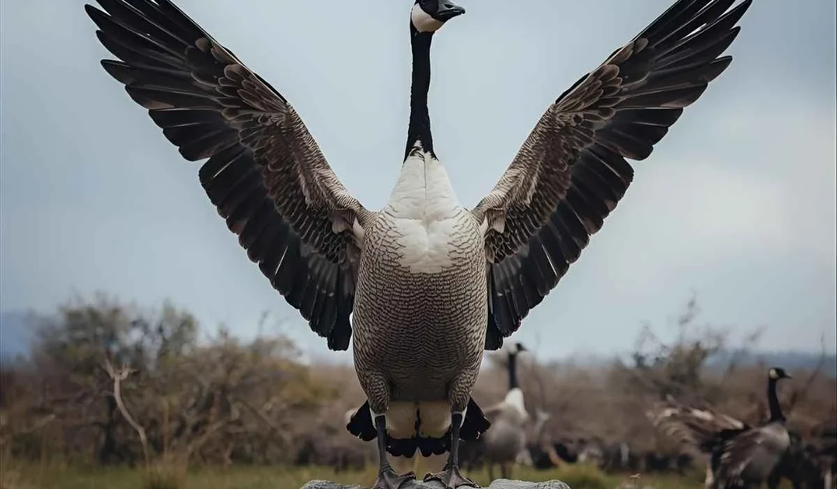 Goose Symbolism