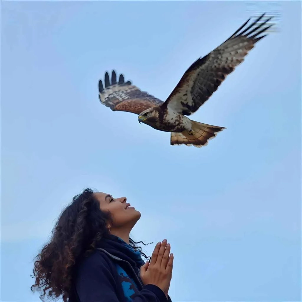 Red-Tailed Hawk Symbolism
