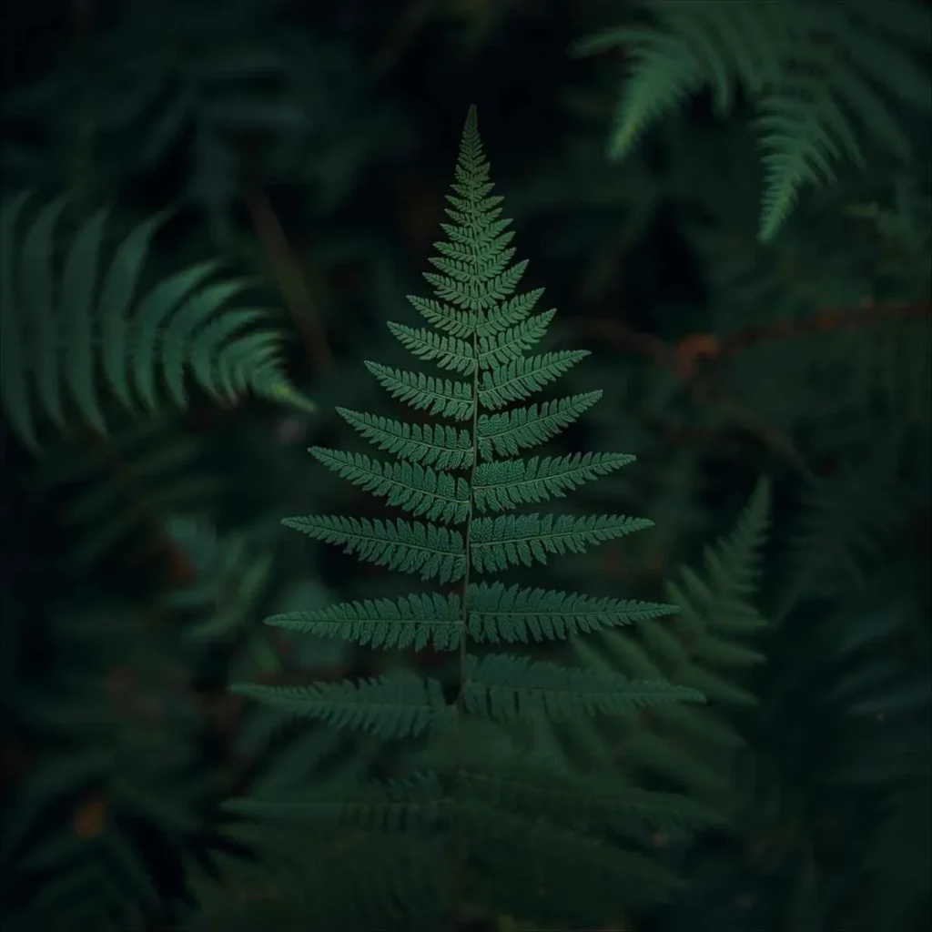 Spiritual Meaning of Seeing a Fern