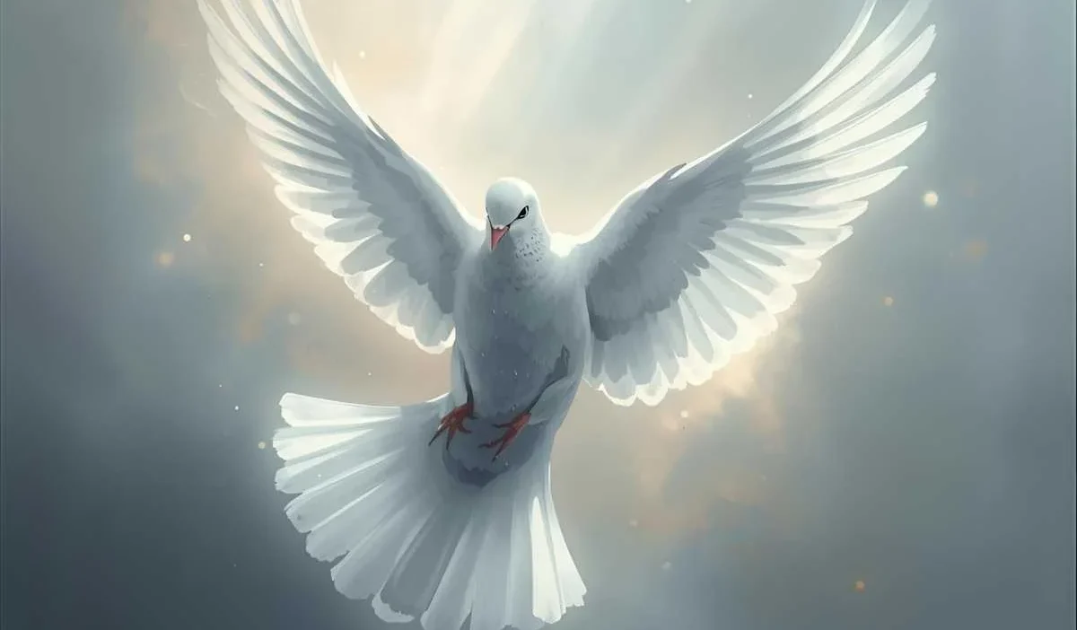 Spiritual Meaning of Seeing a White Dove