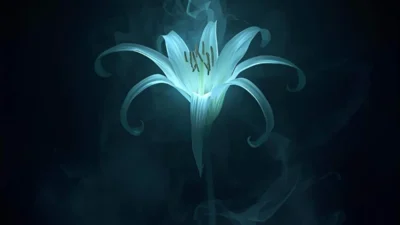 The Spiritual Meaning of Seeing a Spider Lily