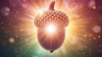 The Spiritual Meaning of Seeing an Acorn