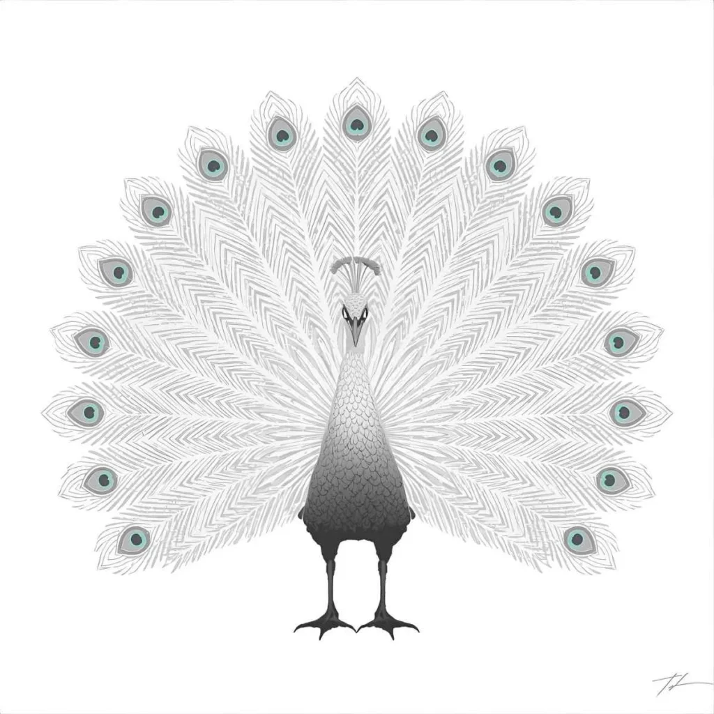 White Peacock Symbolism