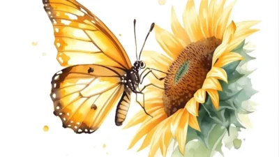 Yellow Butterfly Symbolism