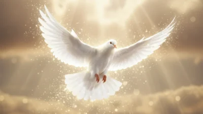 dove symbol meaning