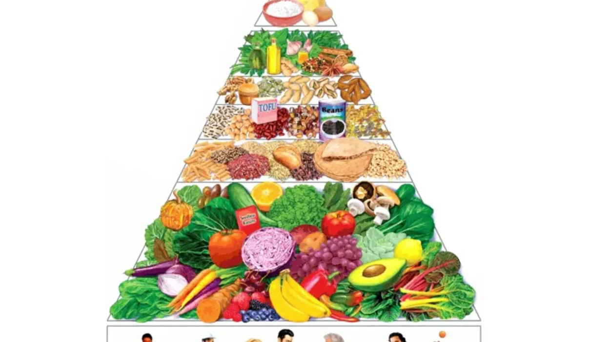 How to Decode DNA and Personalize Your Nutrition Plan