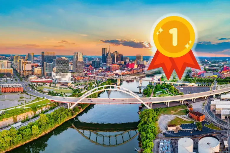 How Community-Focused Tree Care Supports Nashville, TN’s Urban Landscape