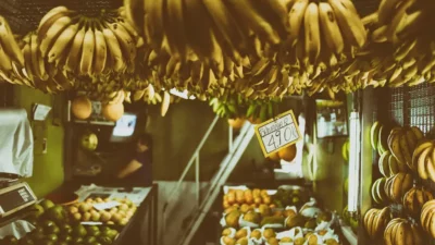 The Dropping Acid Diet A Path to Better Health and Creative Clarity