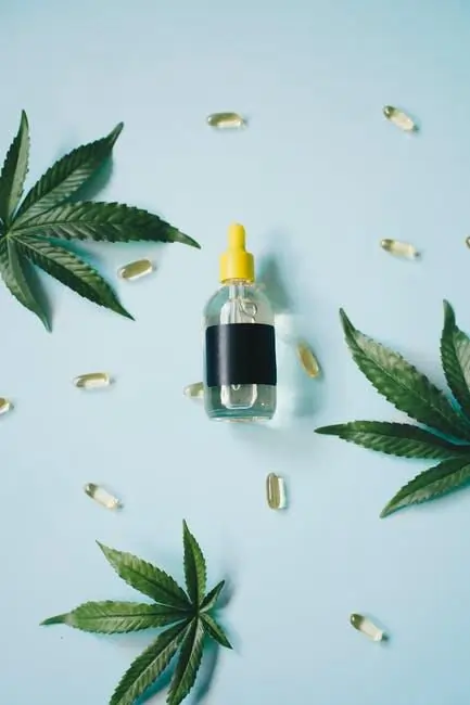 How to Incorporate CBD into Your Daily Wellness Routine