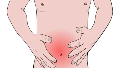 A Guide to AST and ALT What Your Blood Test Results Reveal