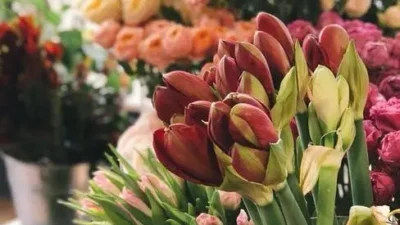 Expert Florist Delivery Services for Beautiful Flower Arrangements