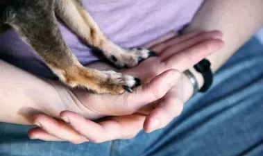 The Business Case for Supporting Employee Well Being on Work Trips