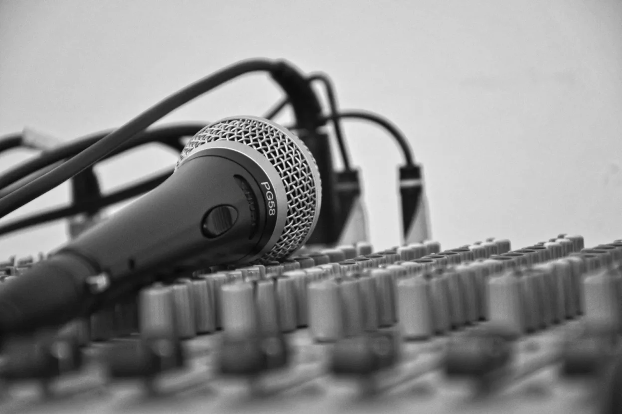 Professional Live Music Entertainment Services