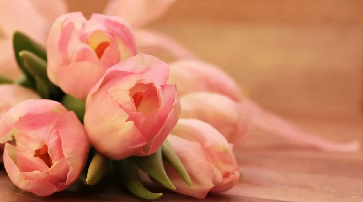 Flower Combinations for Meaningful and Emotional Gift Giving Moments