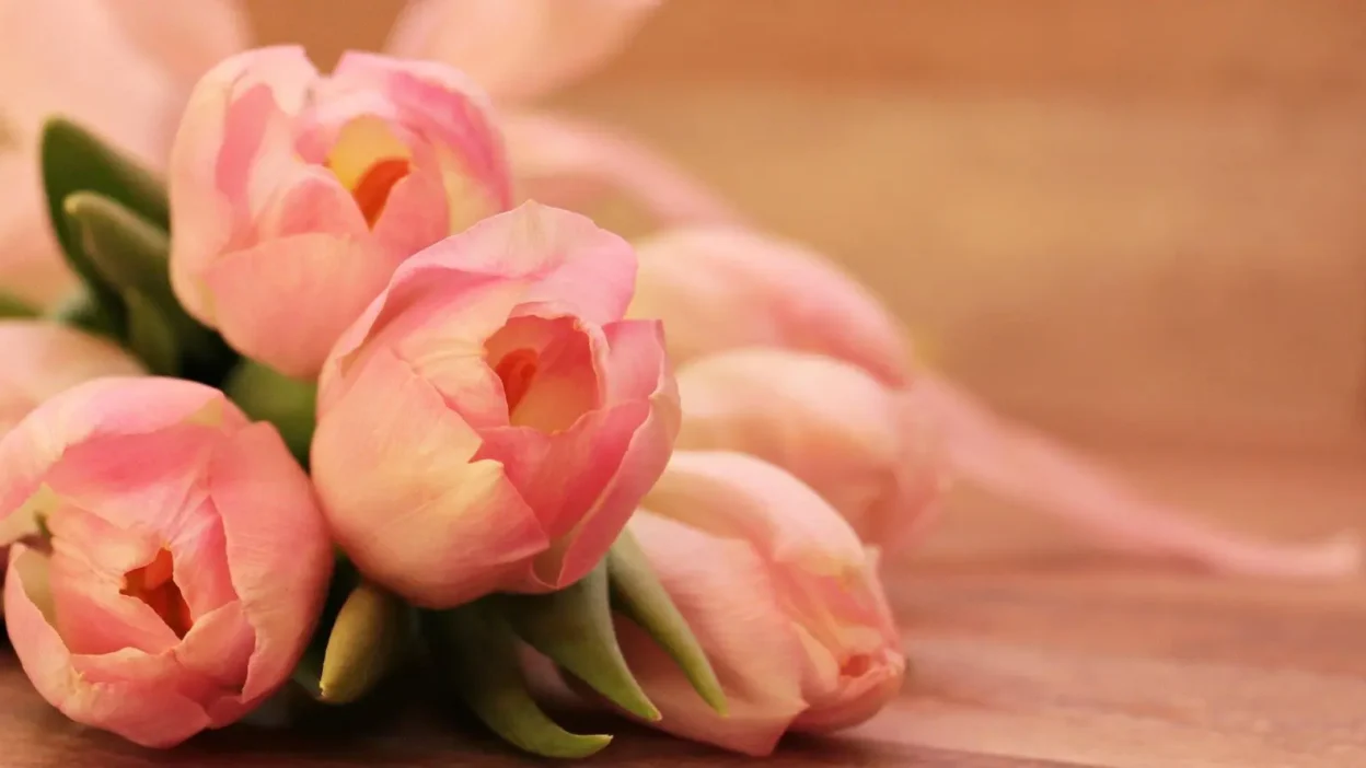 Flower Combinations for Meaningful and Emotional Gift Giving Moments
