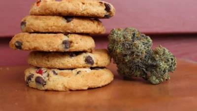 How to Select the Right Cannabis Edibles for Your Lifestyle Needs
