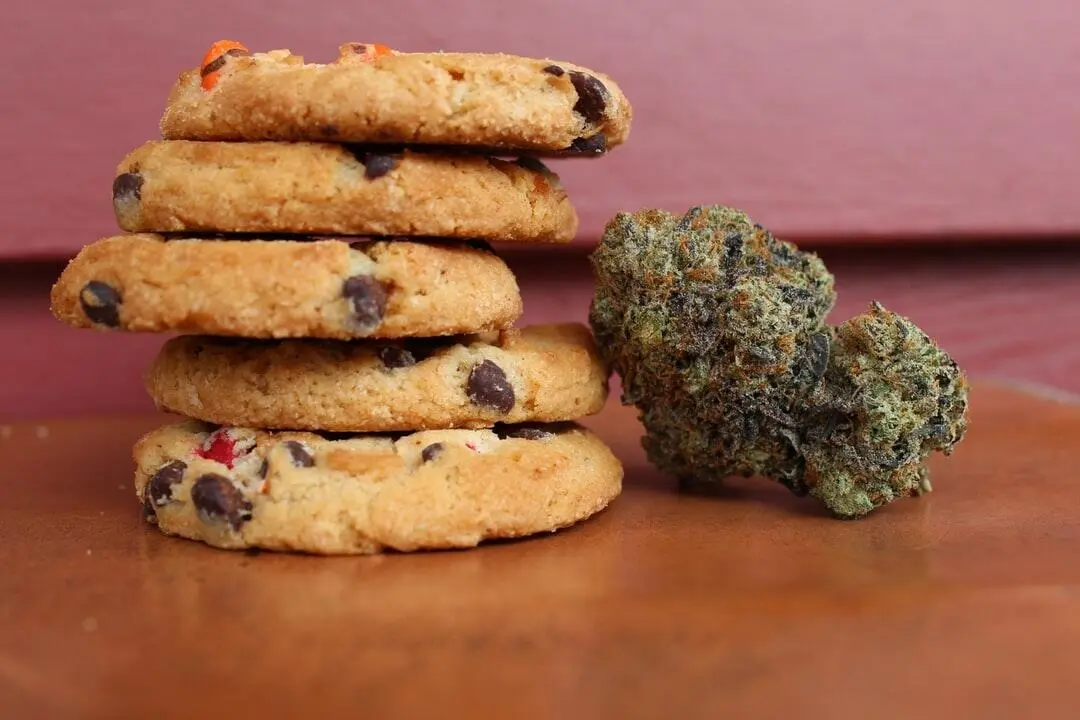 How to Select the Right Cannabis Edibles for Your Lifestyle Needs