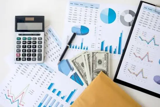 The Role Of Certified Public Accountants In Financial Growth